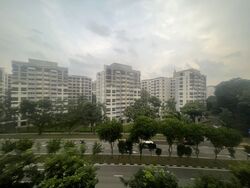 Woods Square (D25), Factory #569564201